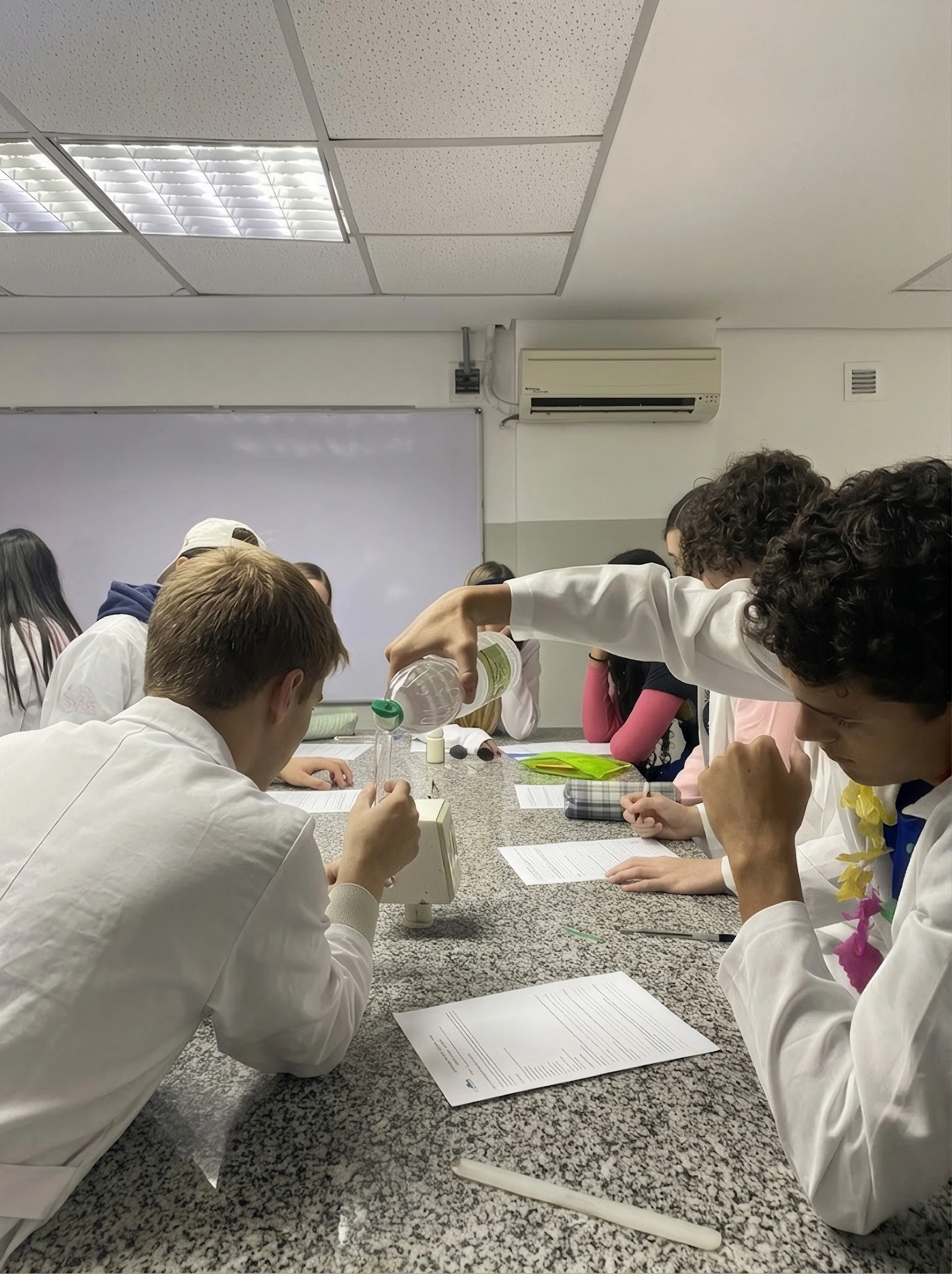 Sistema de Ensino Bernoulli.